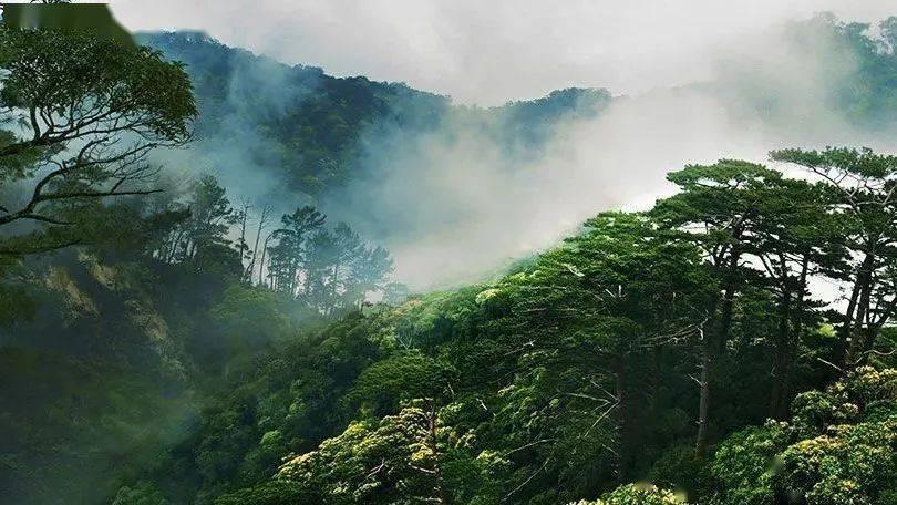 探索轩逸2021款2021年买触屏失灵有保修吗?,获取一站式知识分享平台